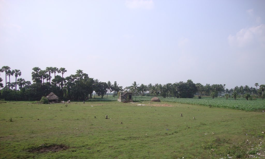 Guntur