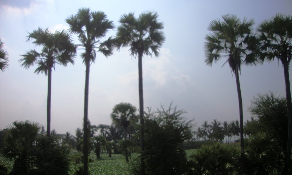 near Katevaram 8350.