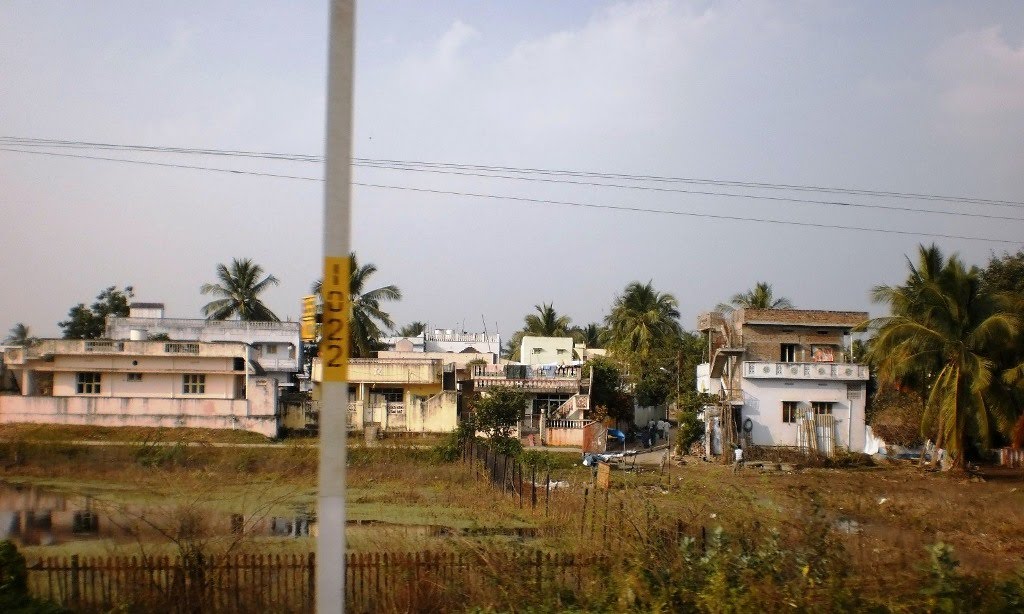 Bapatla 300191