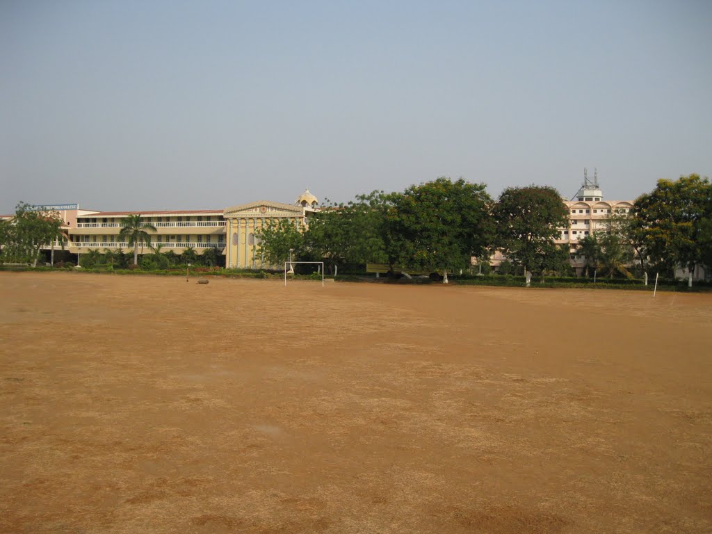 The ground