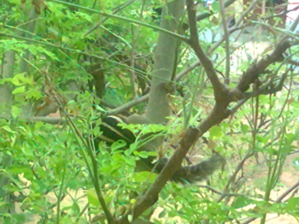 Photo0069.jpg