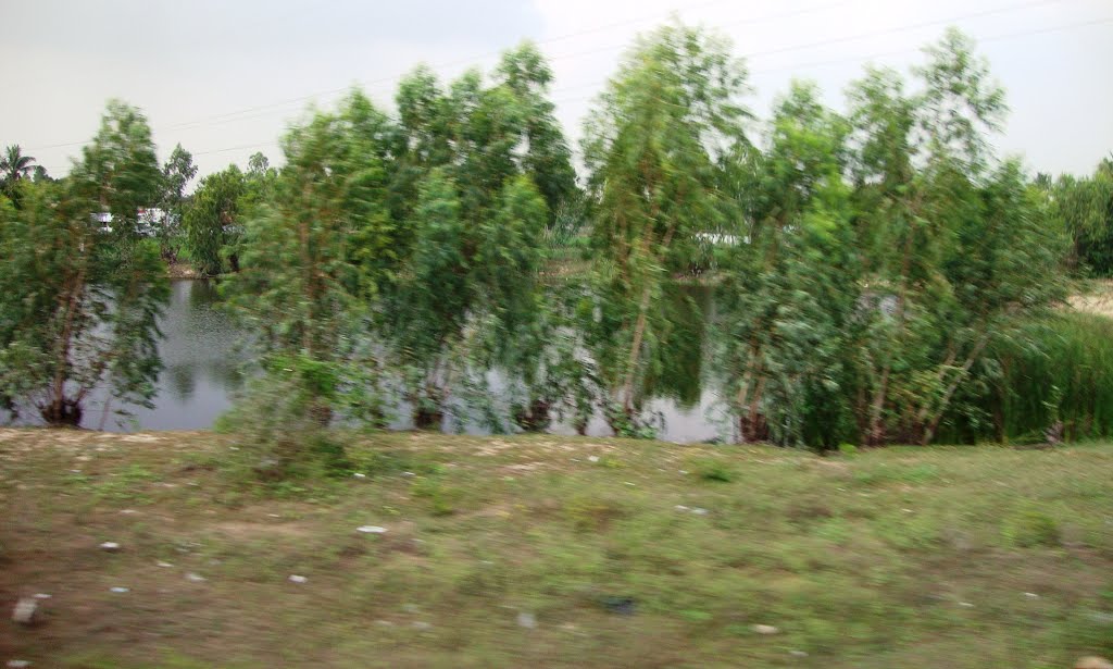 Bapatla West Pond బాపట్ల பாபட்லா बापट्ला Bapatla8214