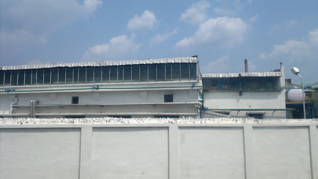 Ambedkar Nagar, Chittoor, Andhra Pradesh 517002, India
