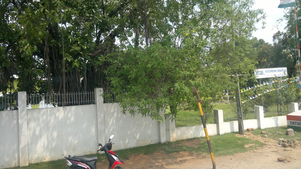 Ambedkar Nagar, Chittoor, Andhra Pradesh 517002, India