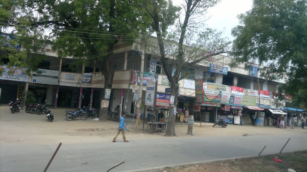 KR Palli, Chittoor, Andhra Pradesh, India