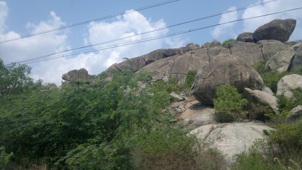 Rocks,Chittoor, Andhra Pradesh, India