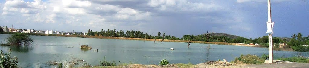 Kattamanachi lake