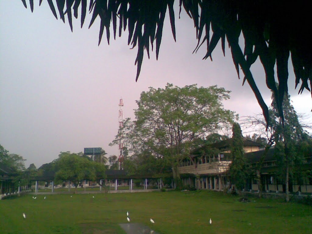 view from OBH-3 in rainy season