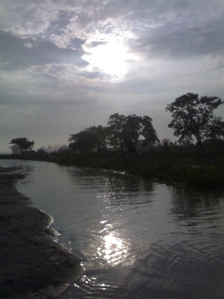 brahmaputra during flood