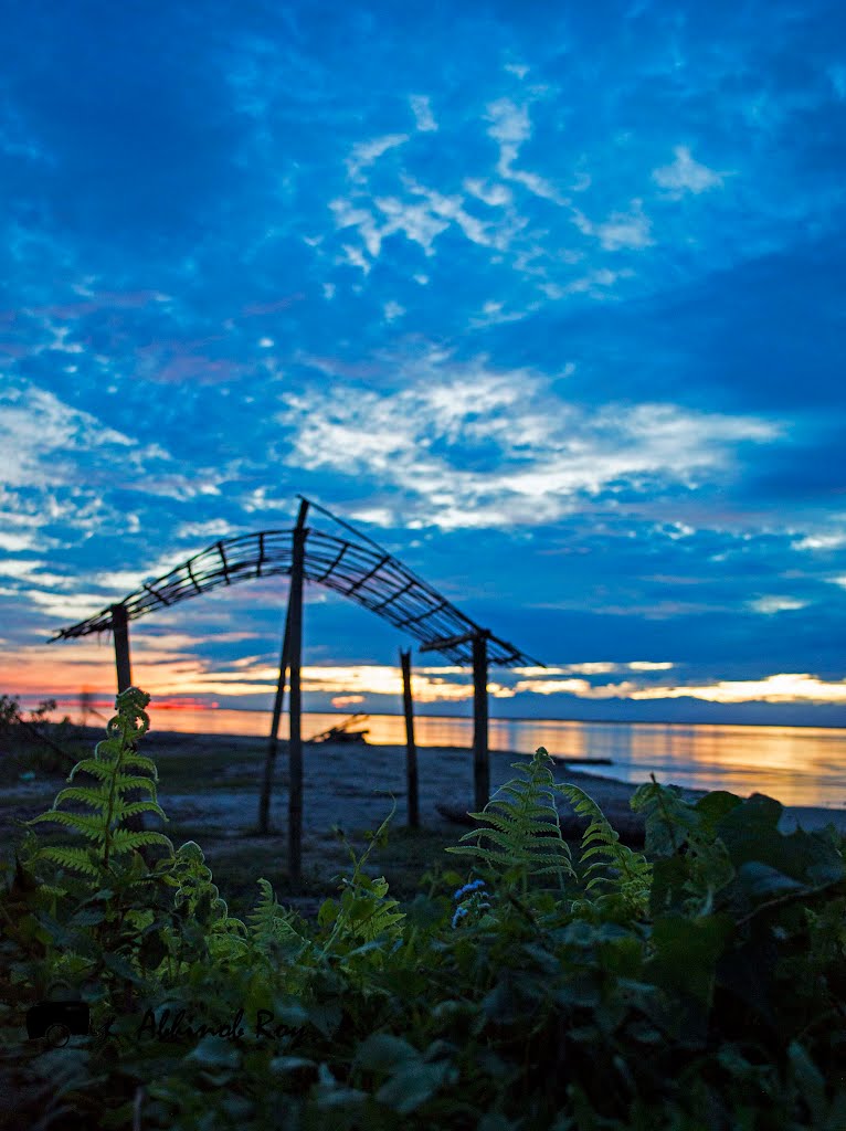 the last light
