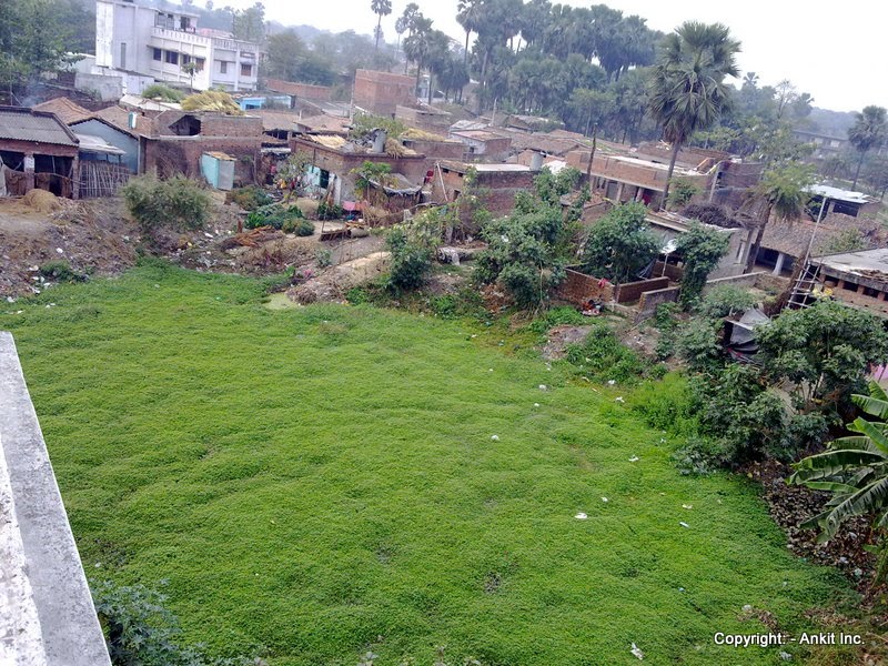 dabra talab