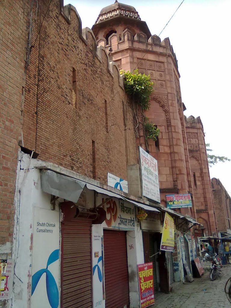 Darbhanga Maharaj Fort Wall