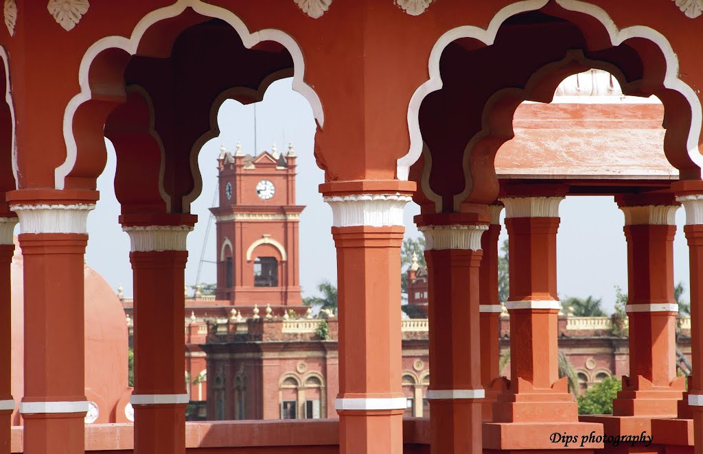 INCREDIBLE DARBHANGA