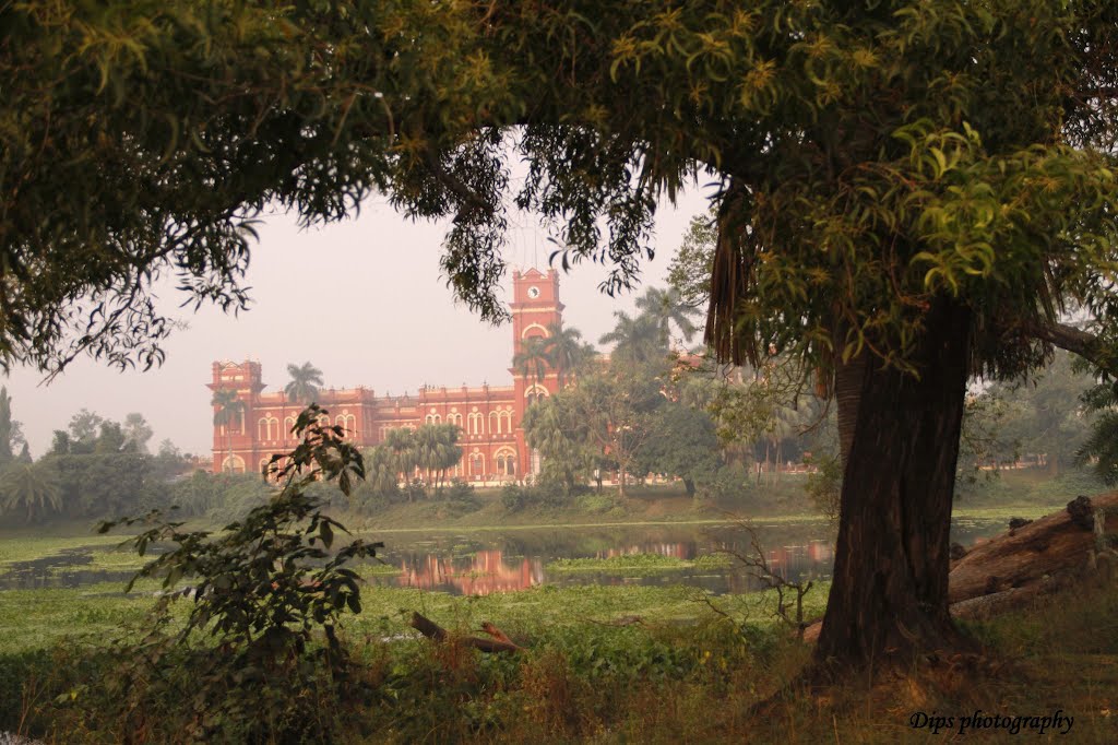 DARBHANGA FORT AREA