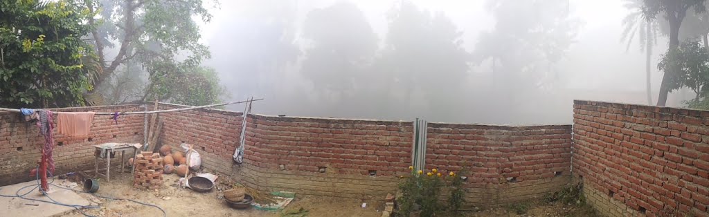 Nikku Home Backyard