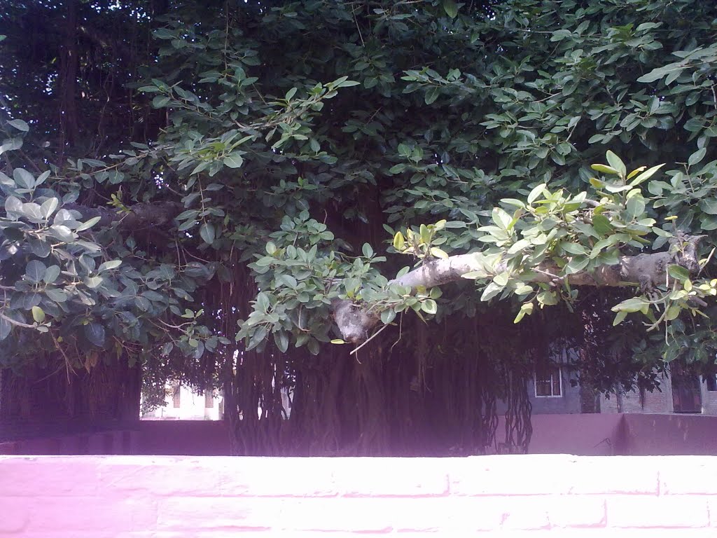 Malang Baba