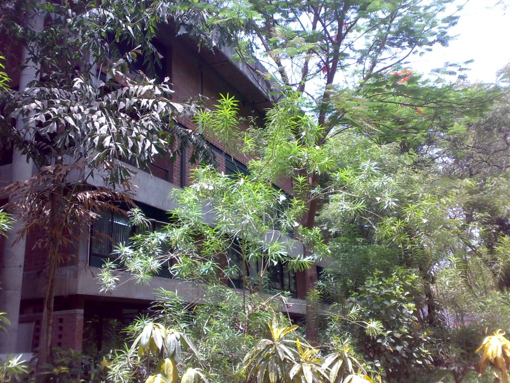 National Institute of