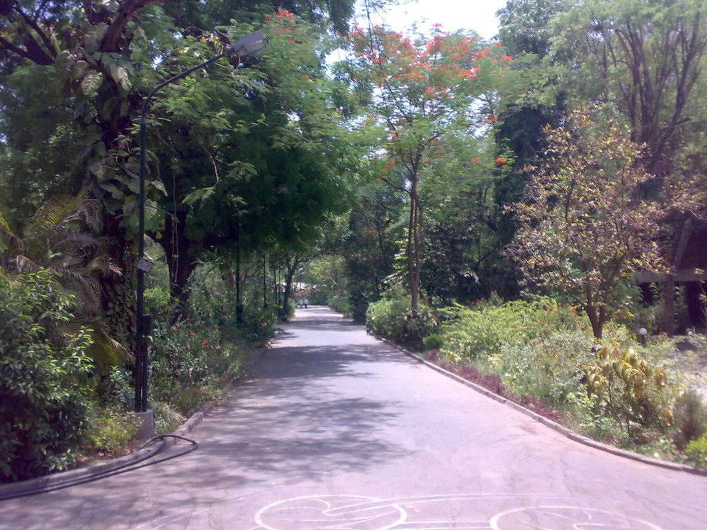 NID Campus