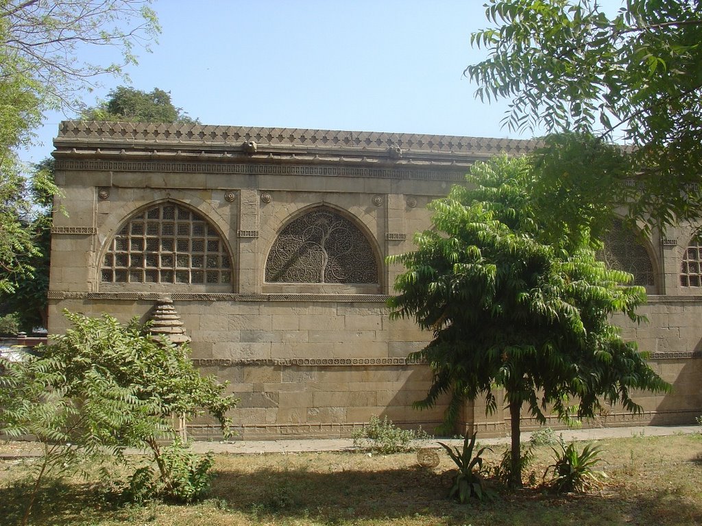 Ahmedabad - Sidi Sayiad Masjid