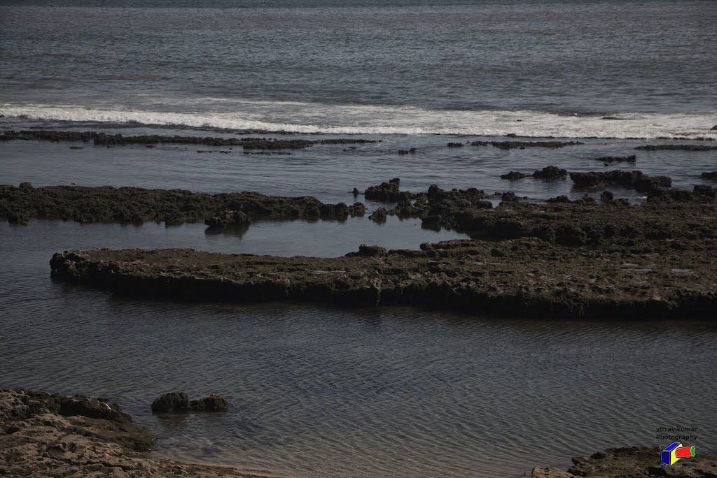 Sea