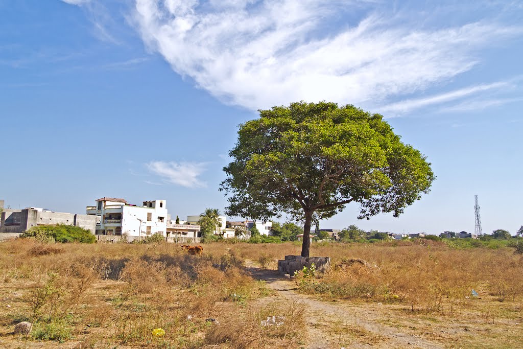 Sacred Bhalka Tirtha