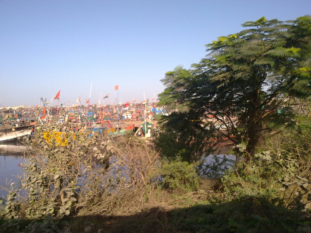 Fishermans Junction Veraval Gujarat