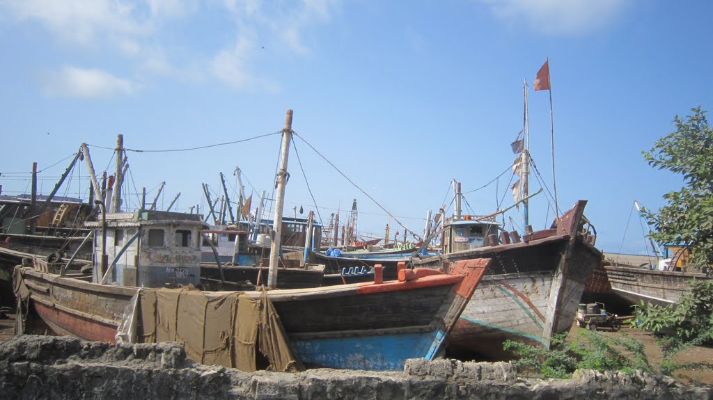 VERAVAL FISH CAMP