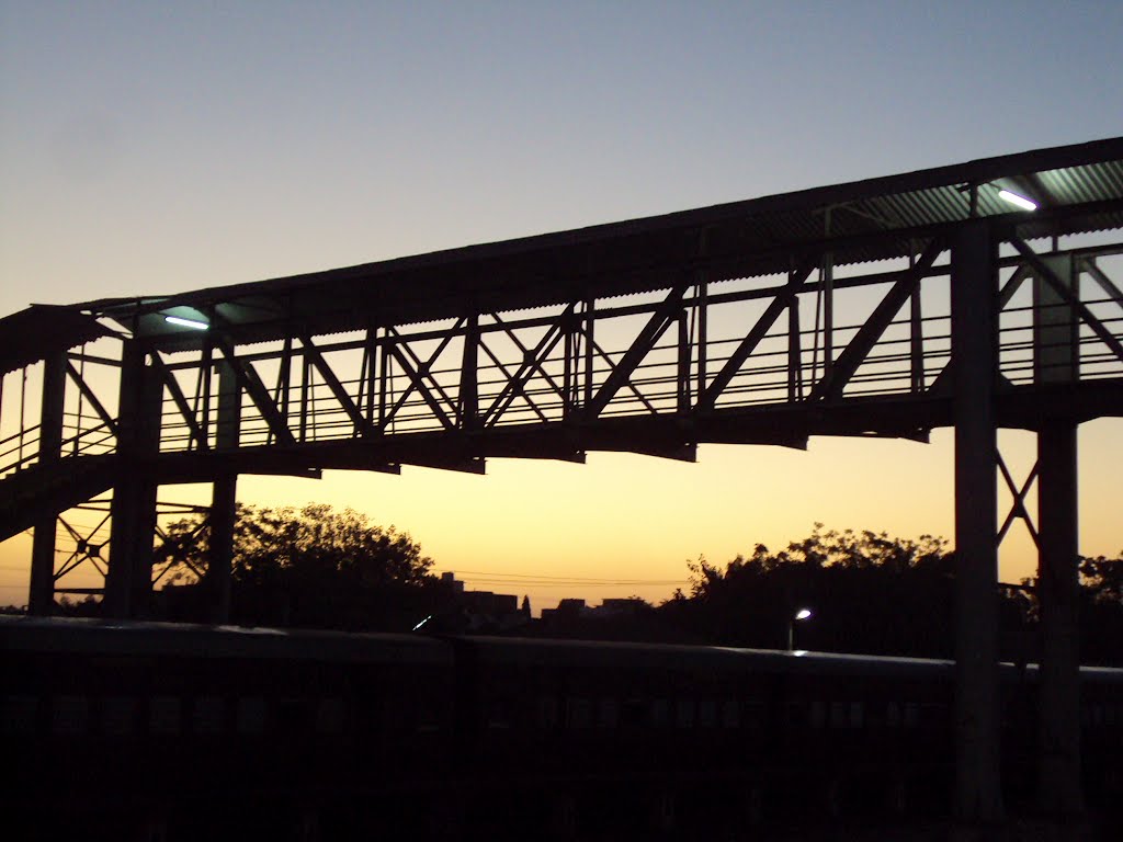 Morning at Veraval Station