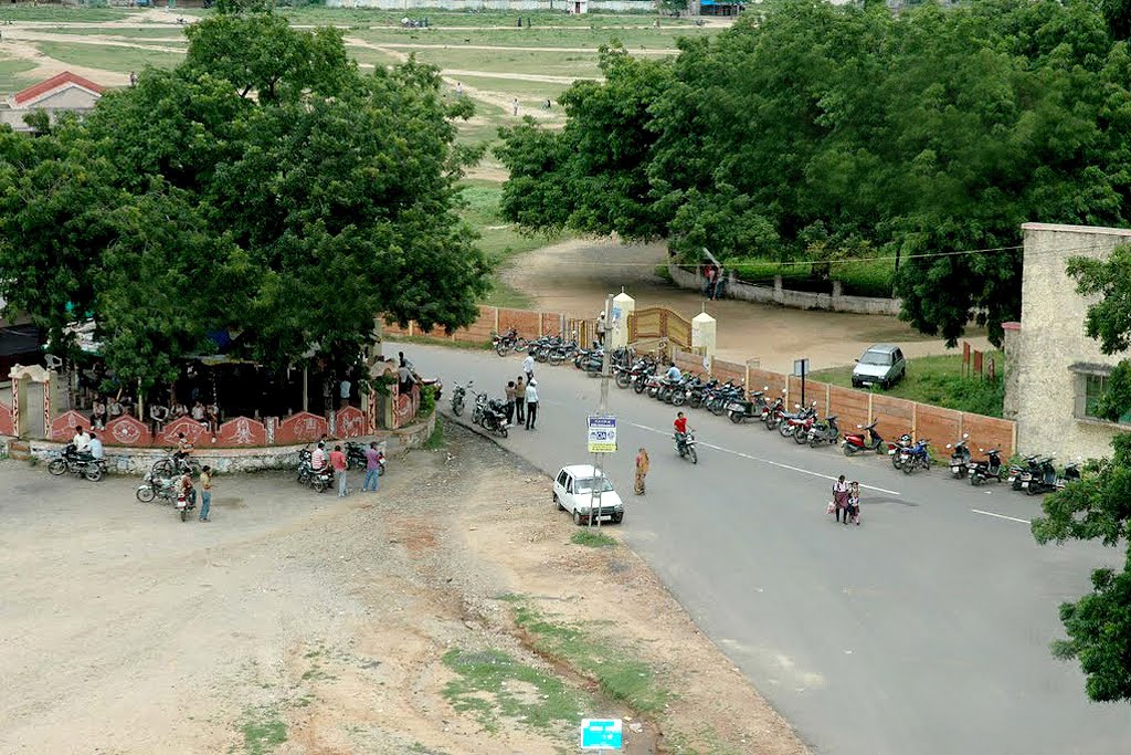 Sheth P T Arts & Science College