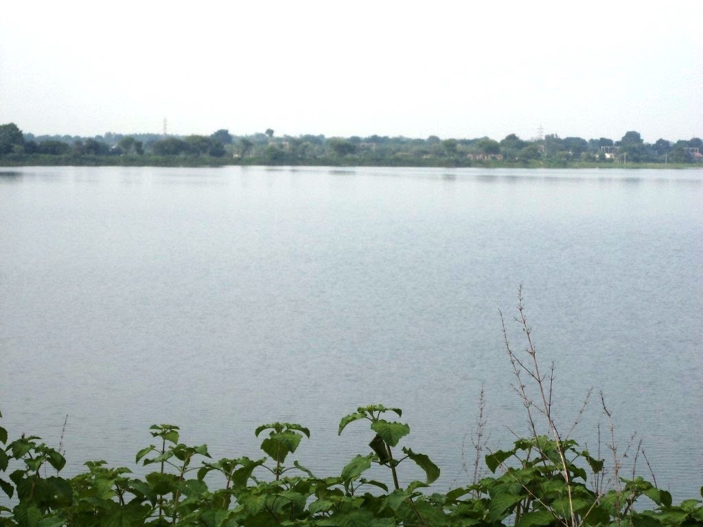 KANELAV LACK GODHRA