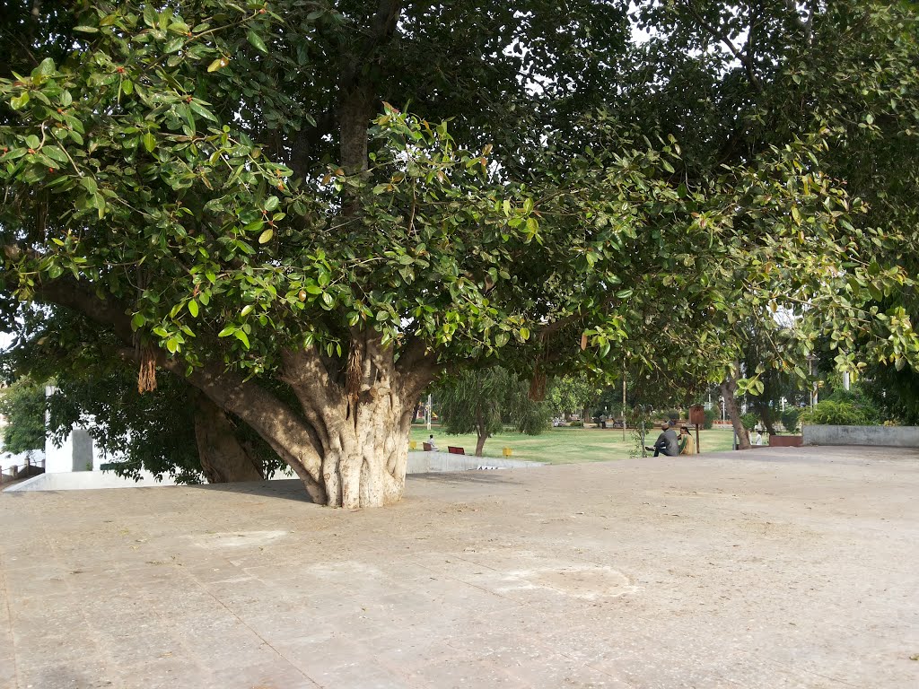 Godhra nehru garden