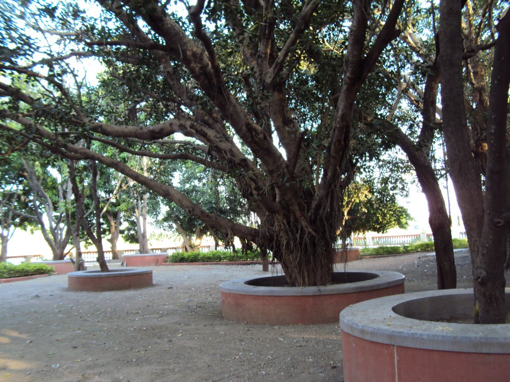 5,AASHAPURA,GONDAL