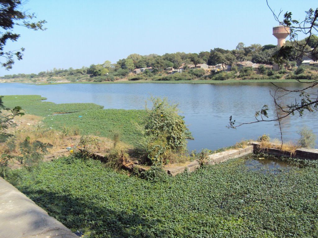 Gondal