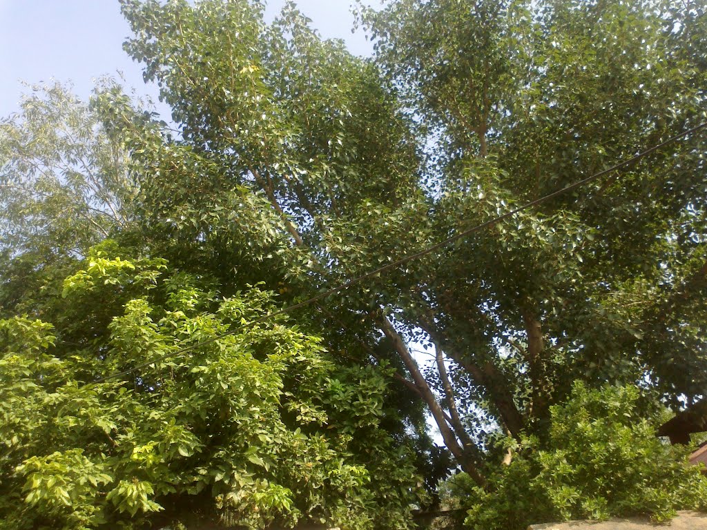 Mukti dham ; Gondal, Gujarat, India(03/10/2012)