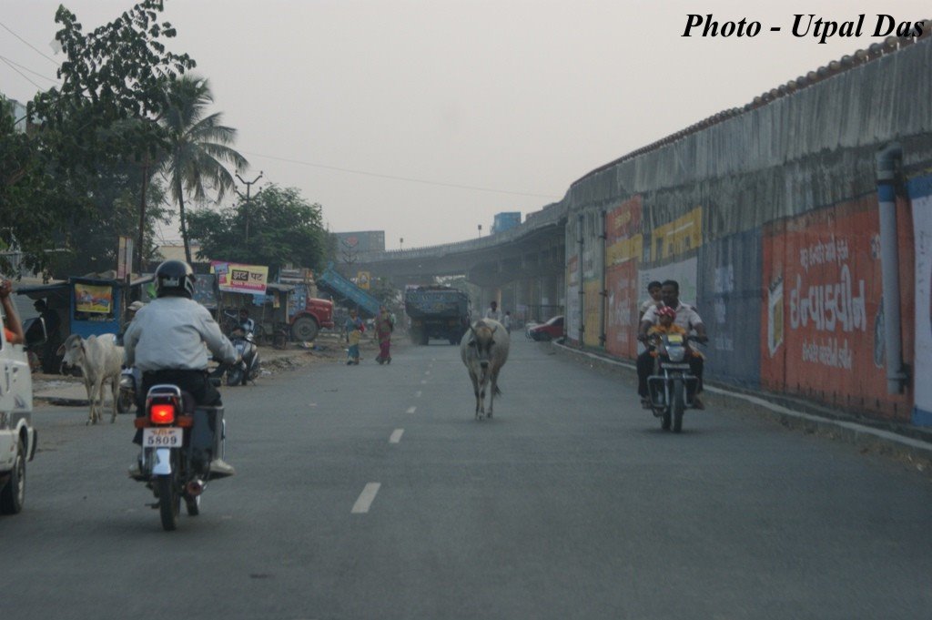 Sarwamangal society, Navsari