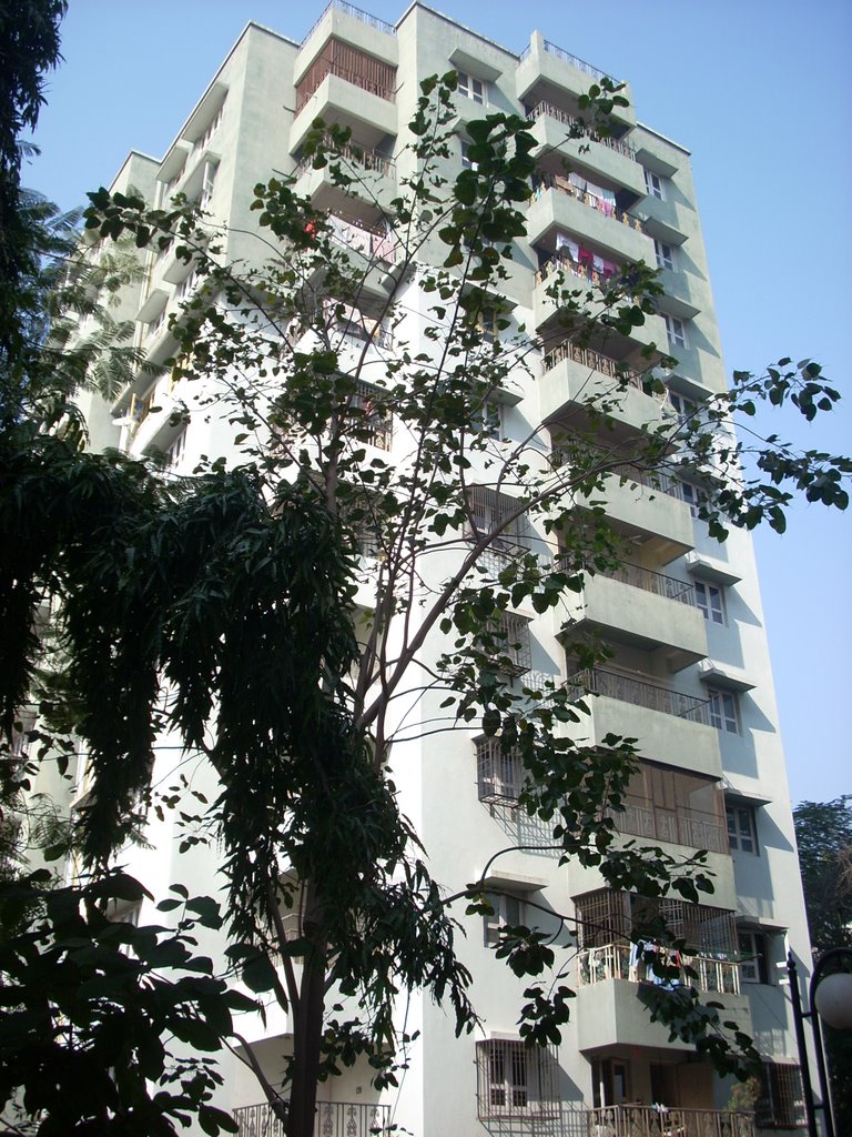 View from Anmol Apartment -1