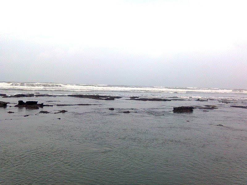 Marine Beauty and  storms Raju Odedra Mo . . .  7698787895