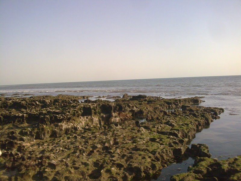Rocky Beach Of Porbandar Photo By Raju Odedra Mo. 7698787895
