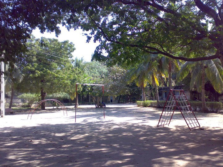 Save the trees Save the earth green garden green Porbandar.Raju Odedra Mo. 7698787895