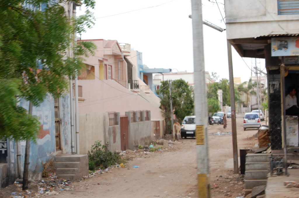 DPAK MALHOTRA, Lane near HARE KRISHNA, Surendernagar, गुजरात भारत Gujarat Bharat ગુજરાત ભારત દેશનું