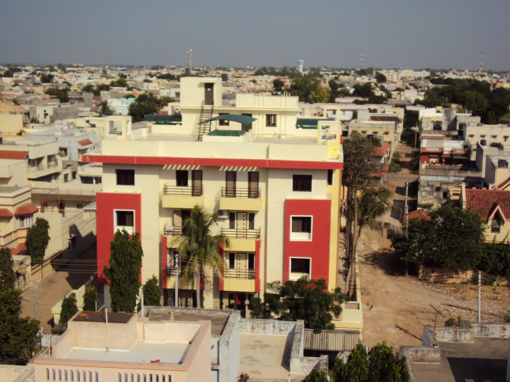Jintan Road , Surendranagar.