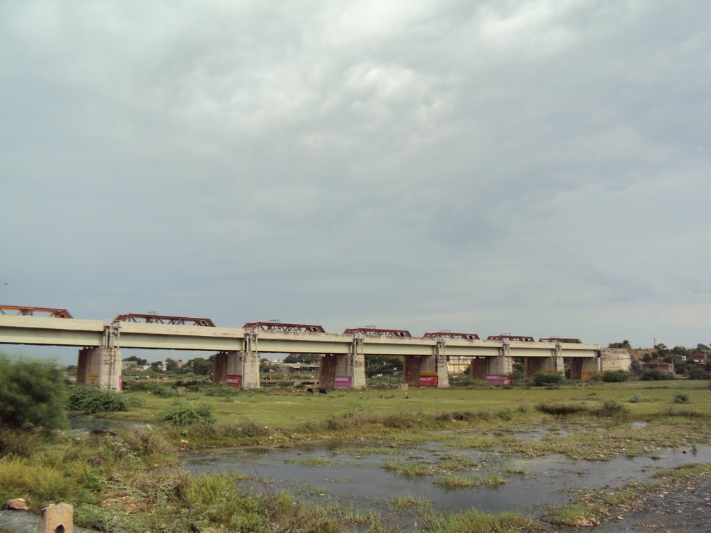 Bhogavo Nadi of Surendranagar.
