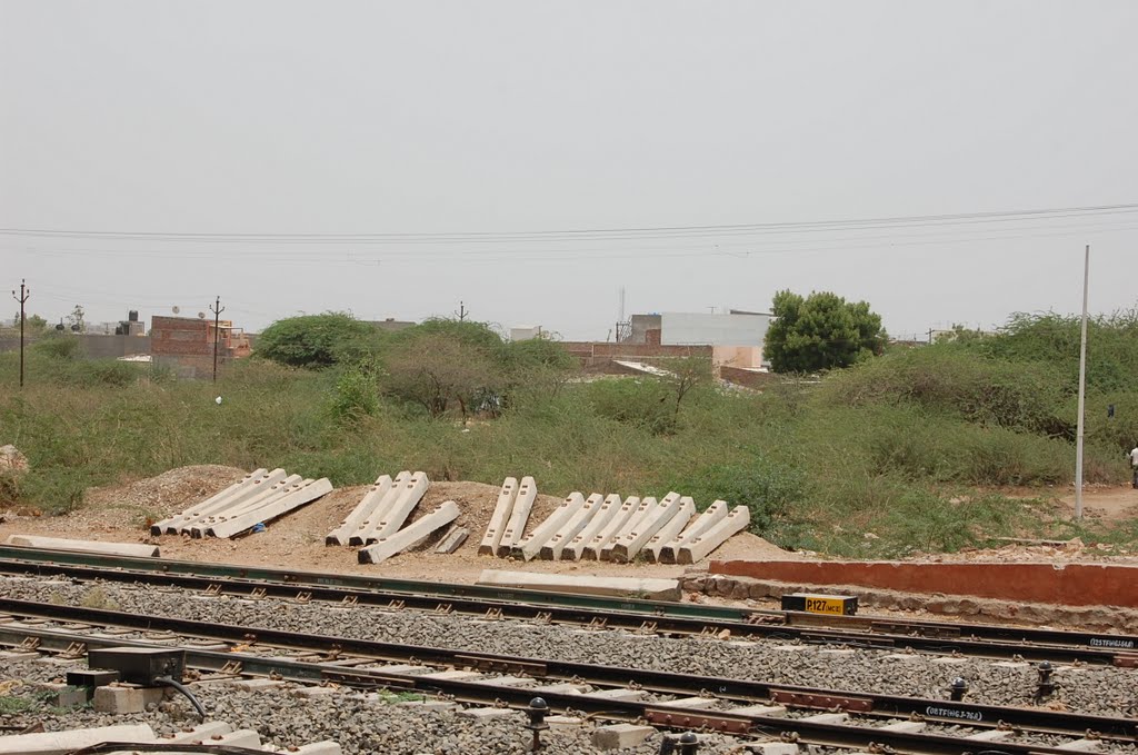 DPAK MALHOTRA, Surendernagar Junction Railway Stn, Ahmedabad-Surendernagar Track, गुजरात भारत Gujarat Bharat ગુજરાત ભારત દેશનું