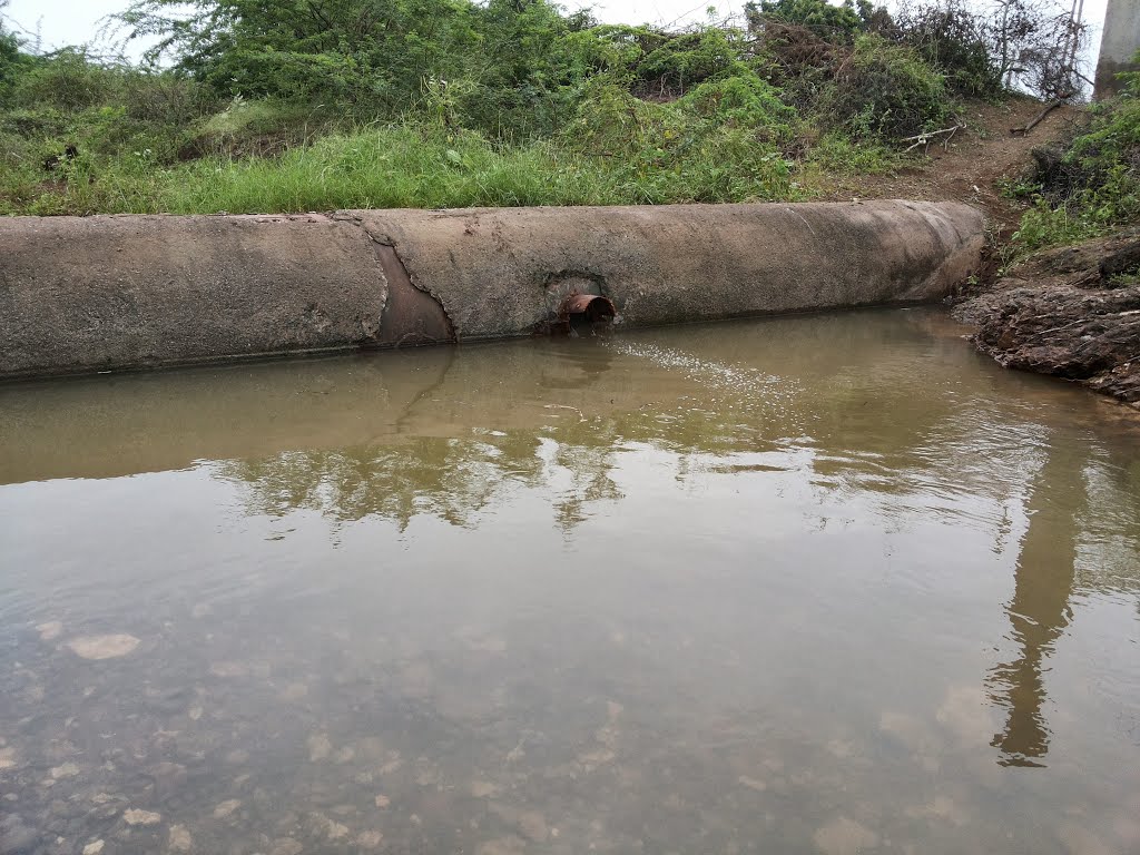 Godavari Scrawl Valve