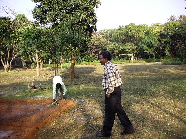 Medicinal and Aromatic plants cultivation