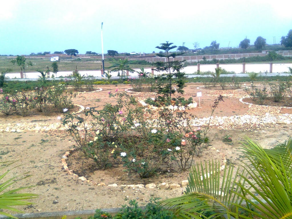 under birsa munda park