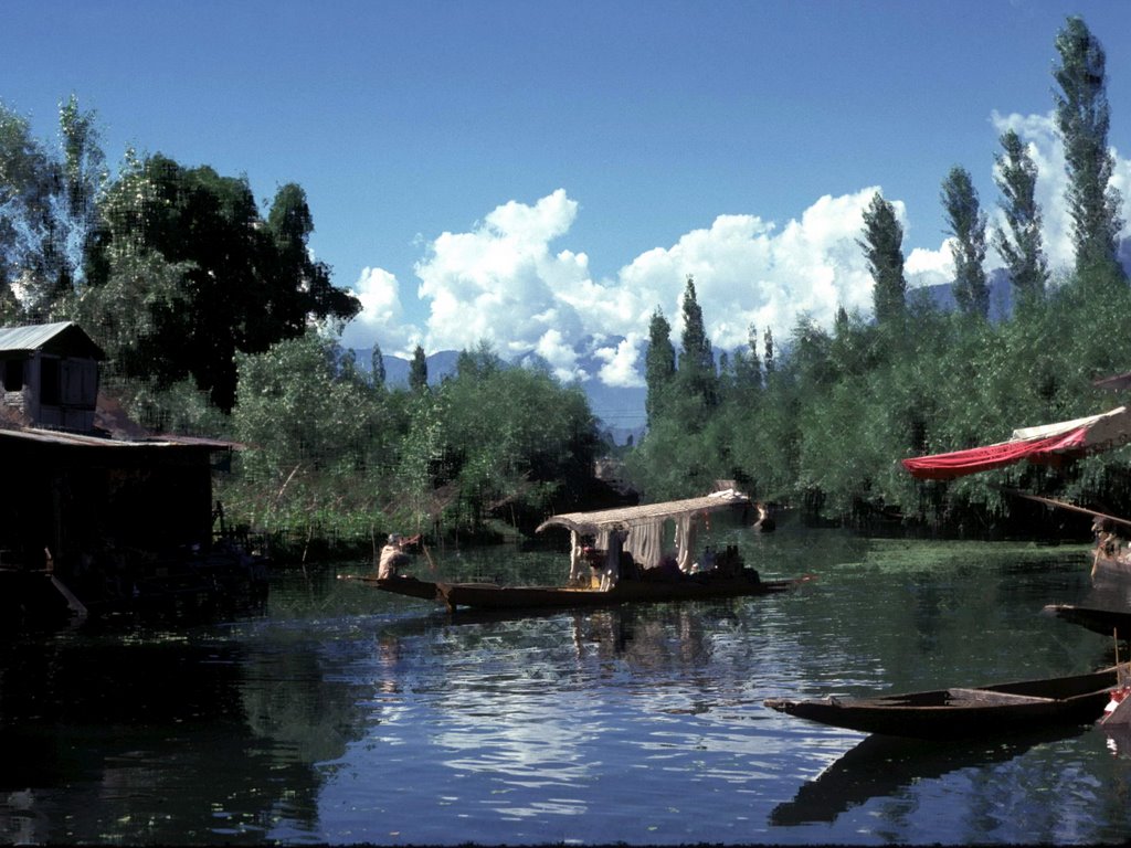 Lake Naggin, Srinagar