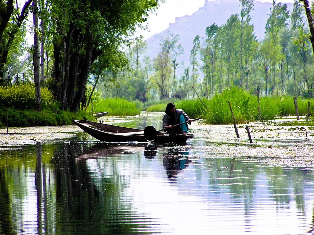 Kashmir boat woman