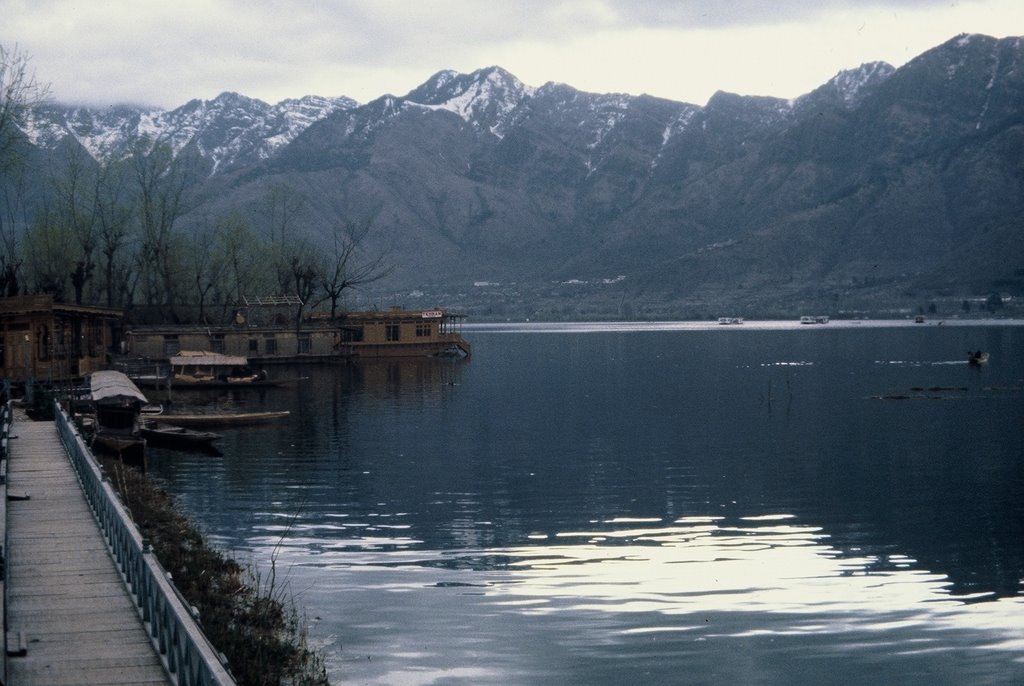 Srinagar - Panorama