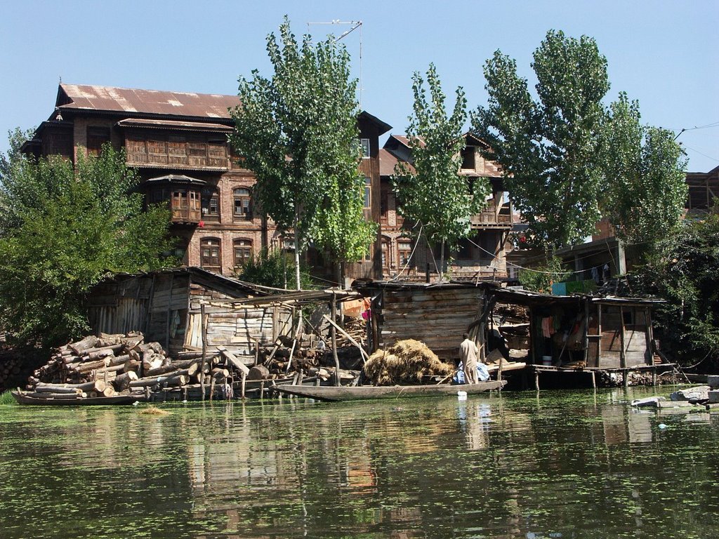 Srinagar - Venice of the East